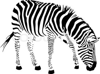 320x239 Zebra Silhouette Stock Vector Colourbox