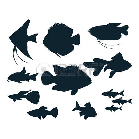 450x450 Image Result For Cichlid Silhouette Aquarium Hood