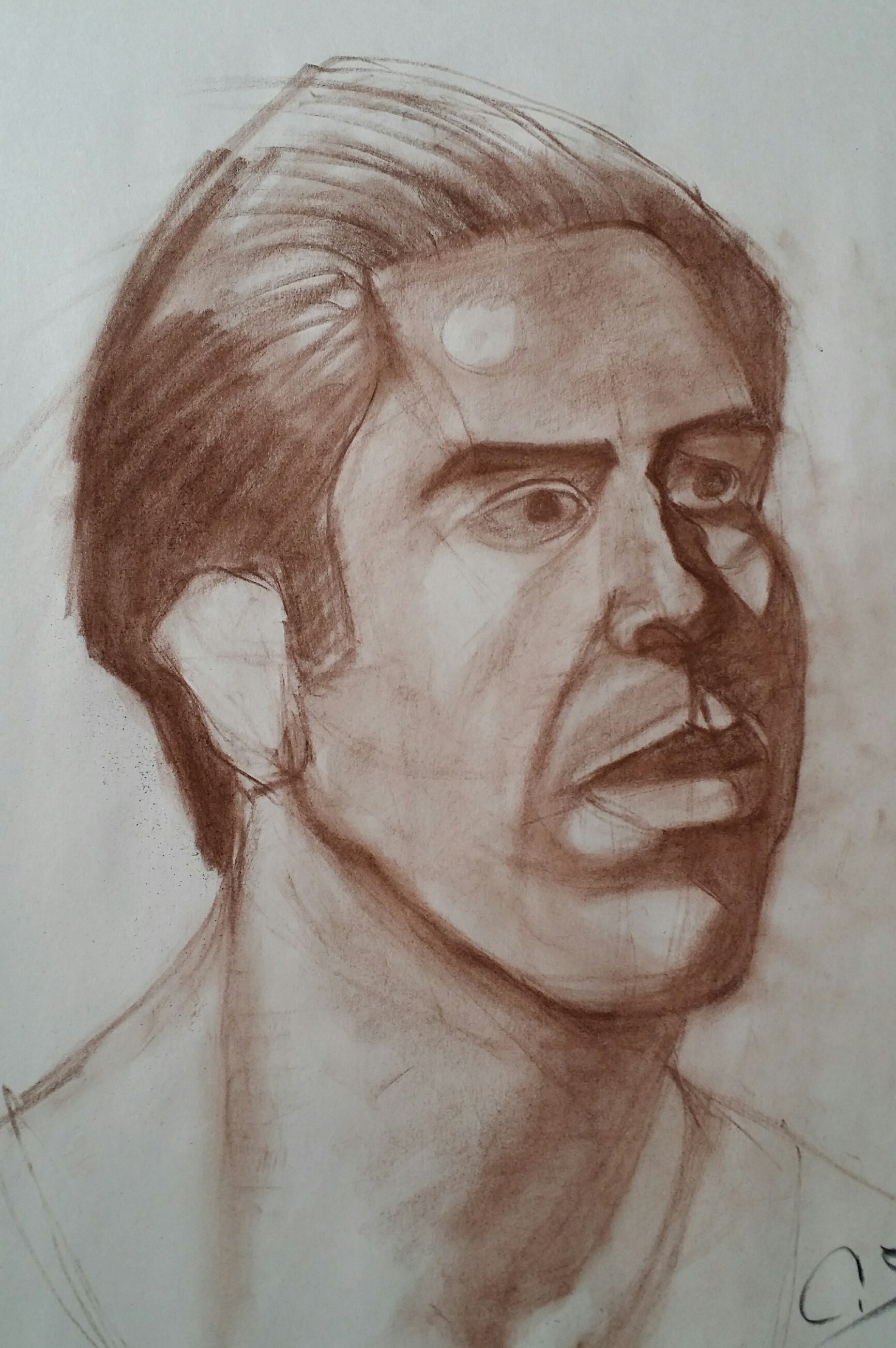 1733x2607 Portrait Sketch