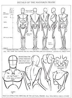 236x320 Adult = 8 Heads Tall, With A Head Size Of 9 Inches Children 15