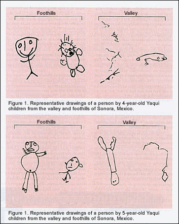 363x455 Neurobehavioural Health Effects