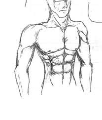 207x243 Collection Of Drawing Of Six Pack Abs High Quality, Free