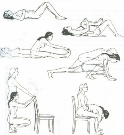 430x466 481 Best Six Pack Abs Images On Six Pack Abs, Work