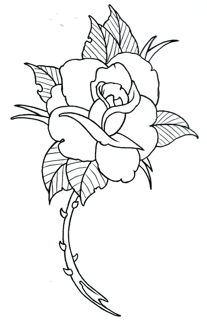 661x1024 How To Draw A Beautiful Rose Small Easy Simple Drawing Tutorial