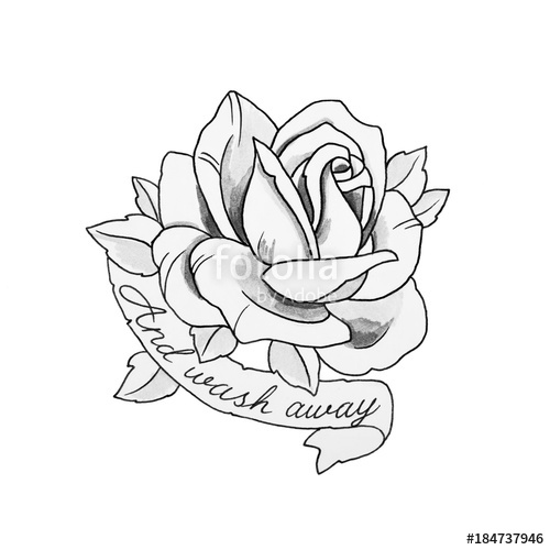 500x500 A Sketch Of A Beautiful Rose With Inscriptions On A White