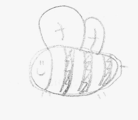 460x400 White Male Piano Teacher Drawings By Students