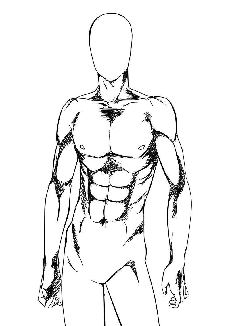 800x1132 Cuerpo Humano