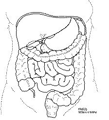 224x247 Abdominal Pain In Runners