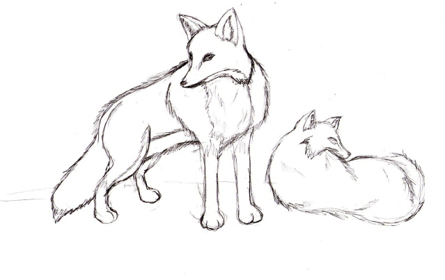 639x403 Fox Drawing Previous By Seliex