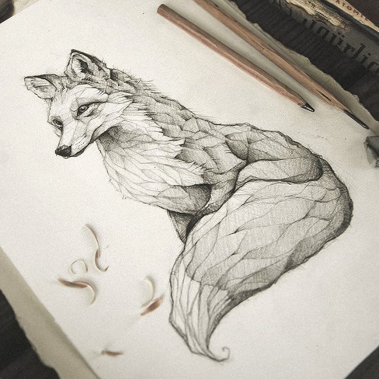 750x750 Pencil, Drawing, Illustration, Art, Retro, Vintage, Old, Fox, Red