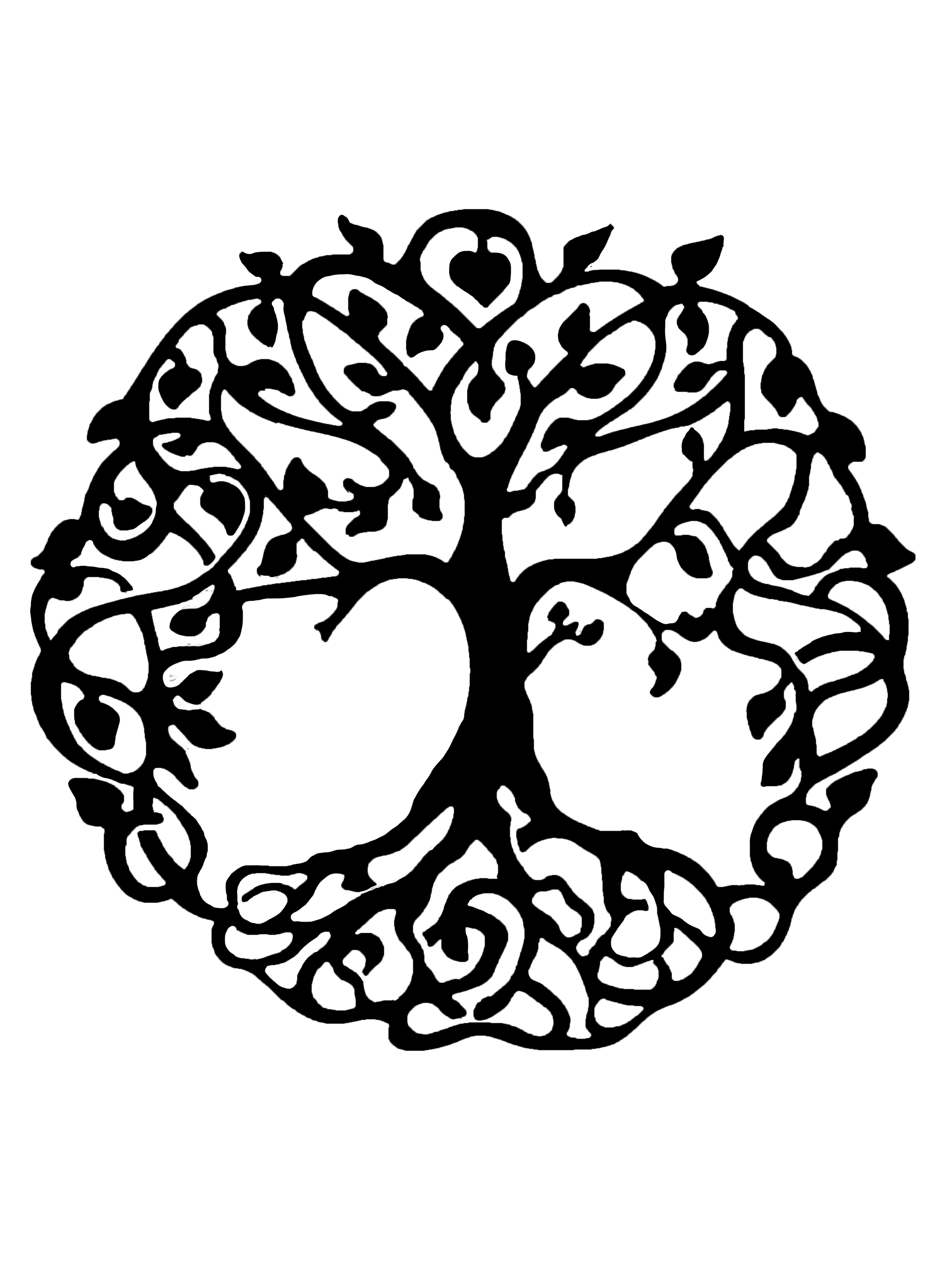 3024x4032 Lone Tree Acupuncture Amp Nutrition Vernal, Utah