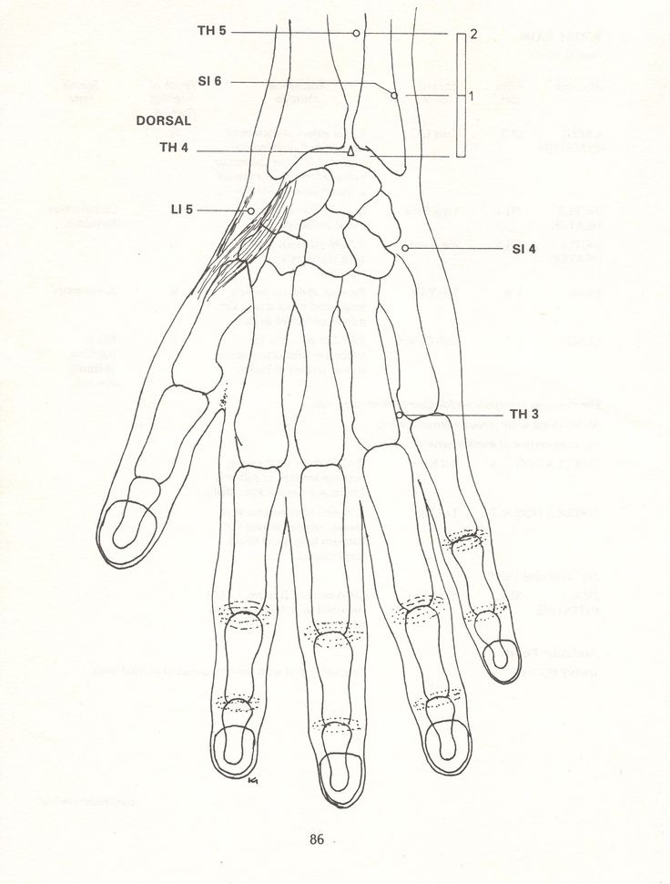 736x970 Best 52 The Acupuncture Treatment Of Pain Leon Chaitow Ideas