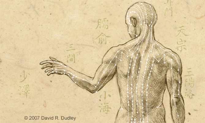 669x401 Acupuncture Drawing