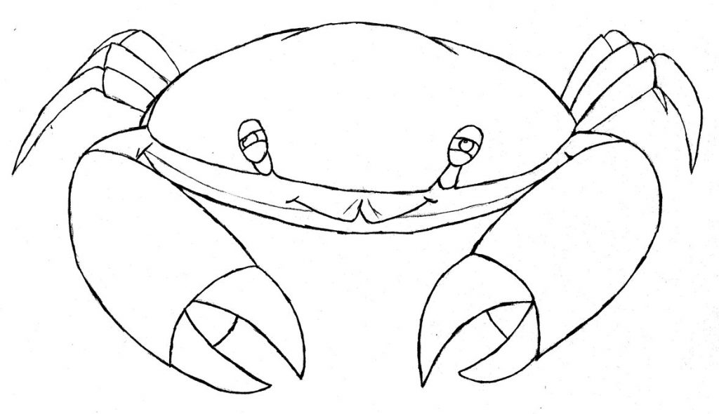 1024x590 Advice Drawings Of Crabs Crab Drawing At Getdrawings Com Free