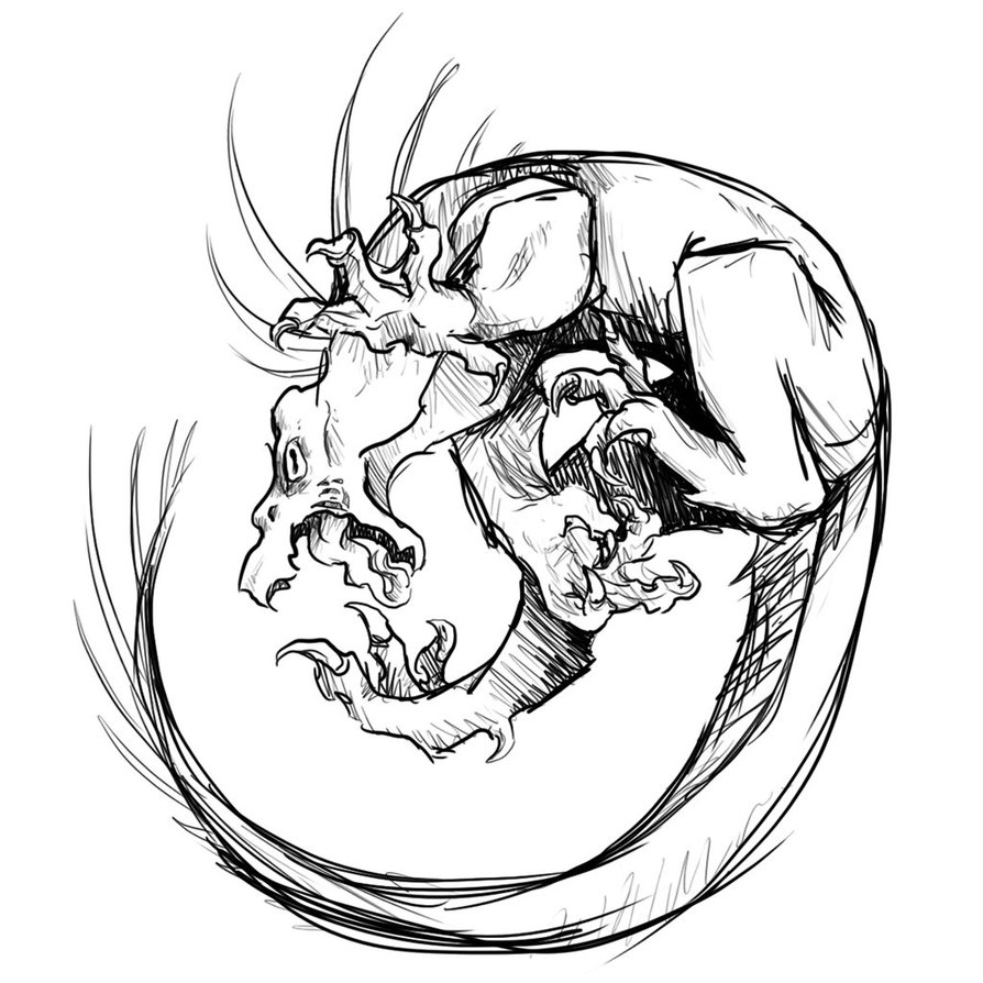 894x894 Monster Sketch By Alpha Duck