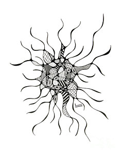 237x300 Alternative Drawings