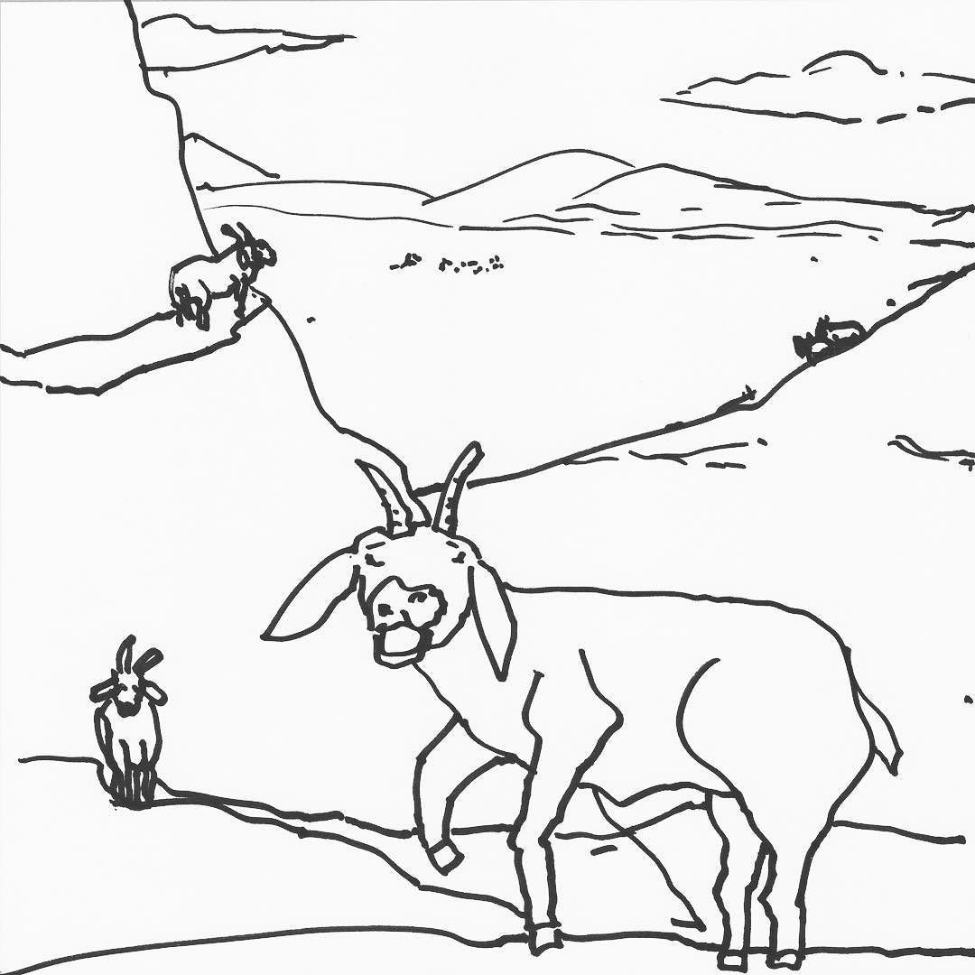 1080x1080 Getting Your Goat Doesn'T It Get Your Goat How Some Mountain