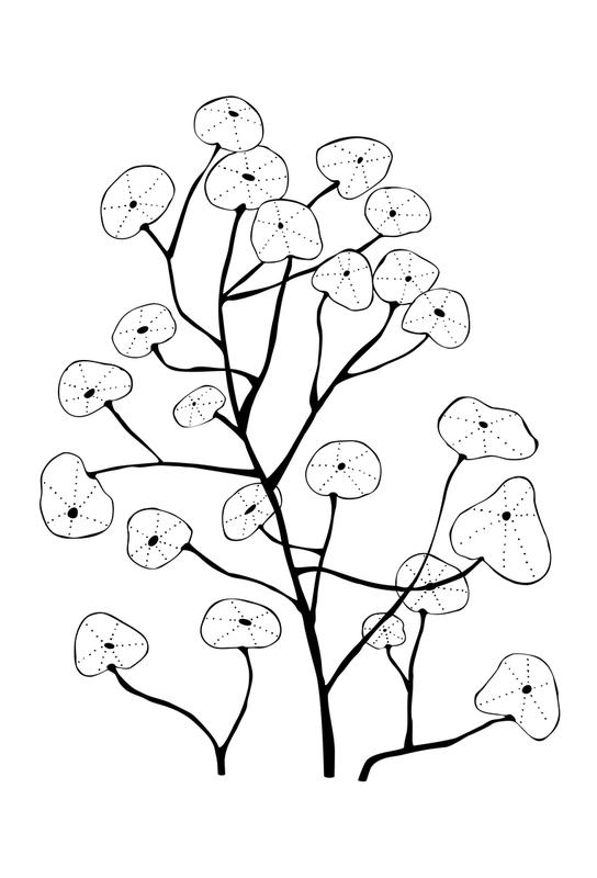 544x800 Kapuzinerkresse As Aluminium Print By Studio Karamelo Juniqe