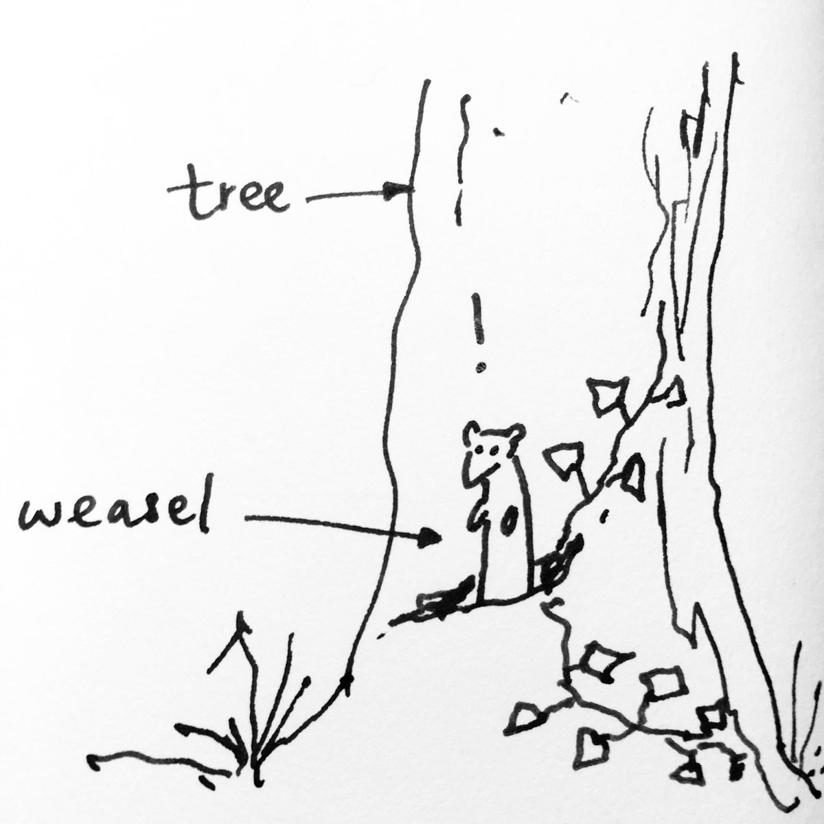 1200x1200 Emma Mitchell On Twitter Always And Forever, Although Cheese