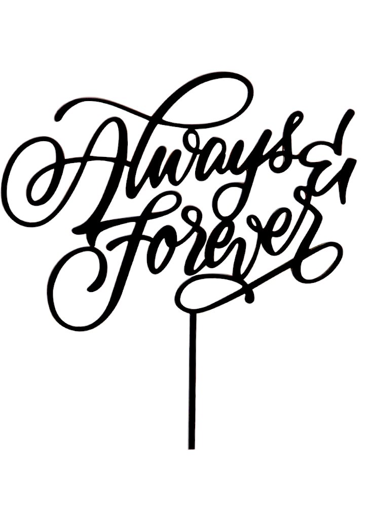 730x1024 Best Day Ever Unique Wedding Cake Topper Bracket