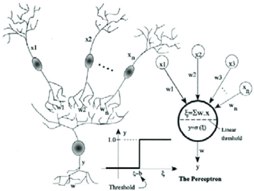 500x376 The Neural Network Analogous With Natural Neurons Download