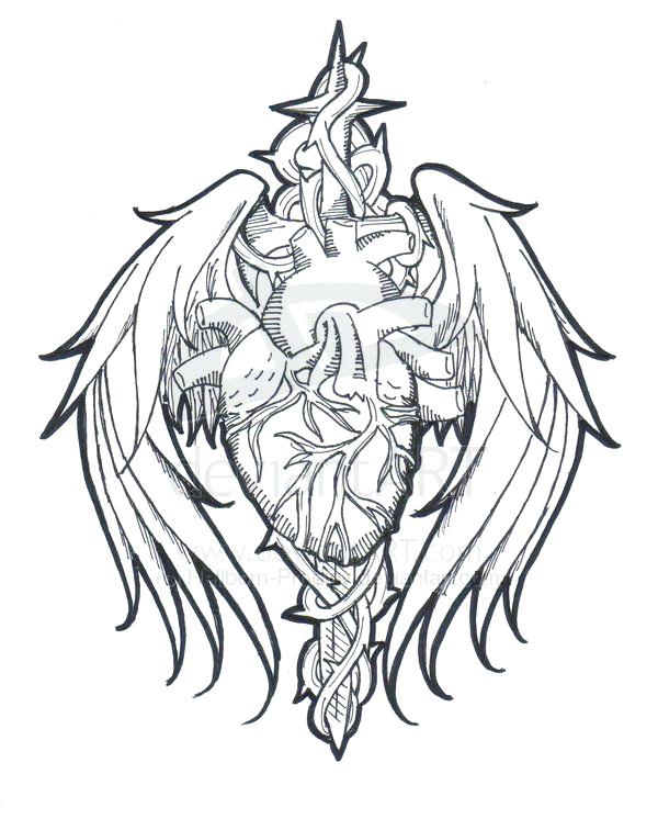 600x756 Isolated Human Heart Outline Sketch Human Heart Outline Hand