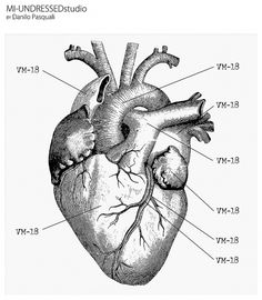 236x270 Royalty Free Images