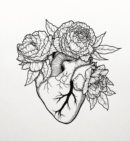 500x545 Tattoo Commission Anatomical Heart Amp Peonies
