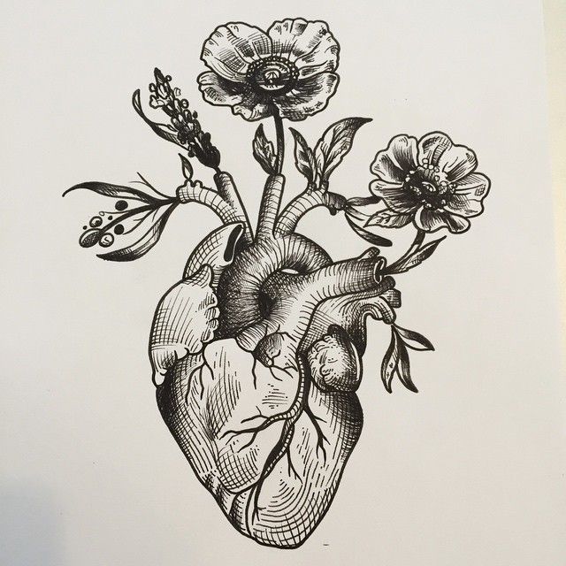 640x640 Anatomical Heart Woodcut