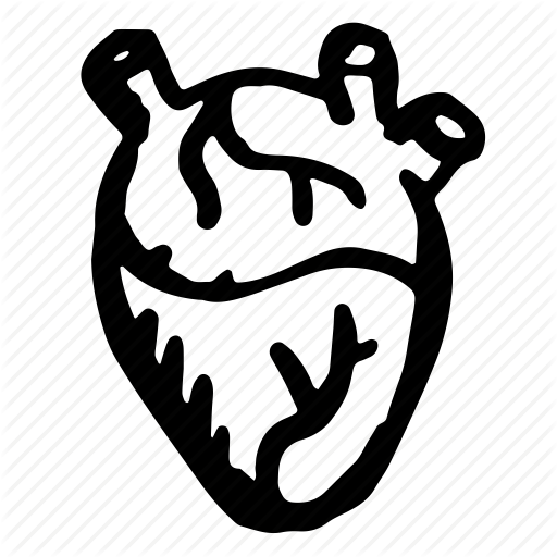 512x512 Drawn Heart Organ