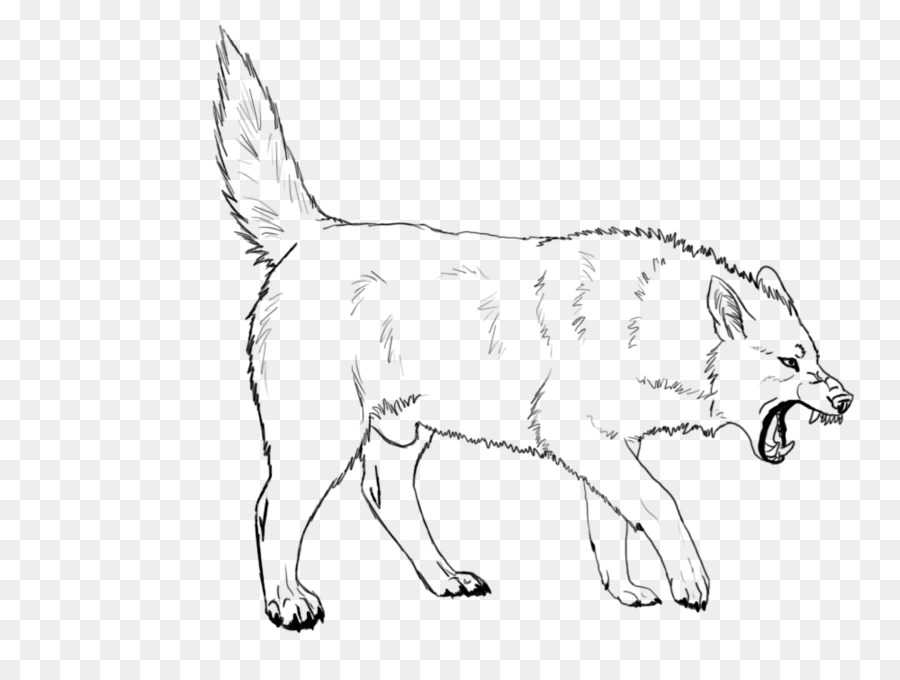 900x680 Dog Breed Wolf Walking Red Fox Line Art