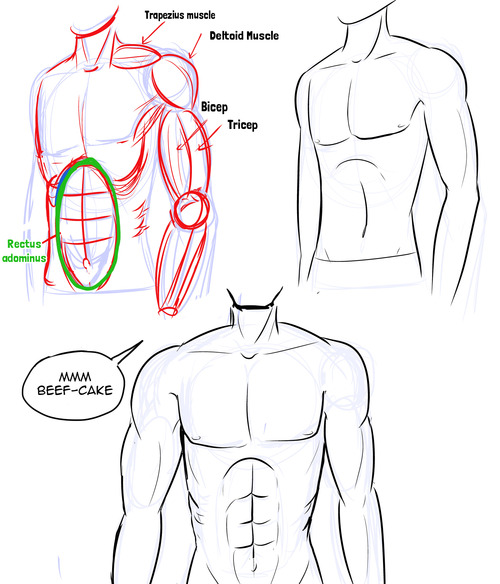 500x584 Pictures How To Draw Anime Boy Body,