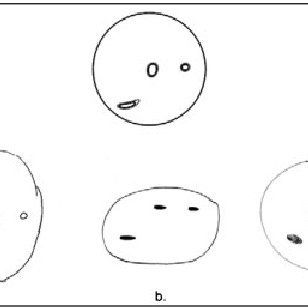 308x308 Correct Answer (Above) And Three Participant Drawings (Below)