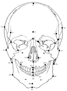 236x321 Fac Logo Cold Hard Facts What Makes Criminal Justice