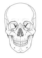 150x205 Forensic Anthropology Australian Police