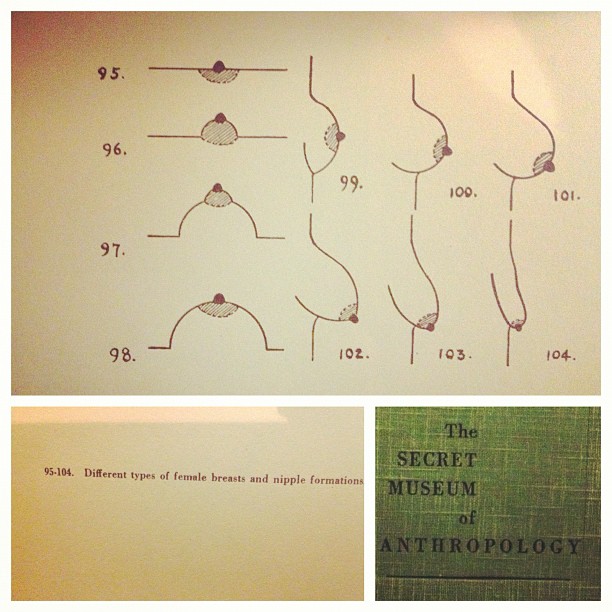 612x612 Working Through The Breasts Of The Secret Museum Of Anthropology