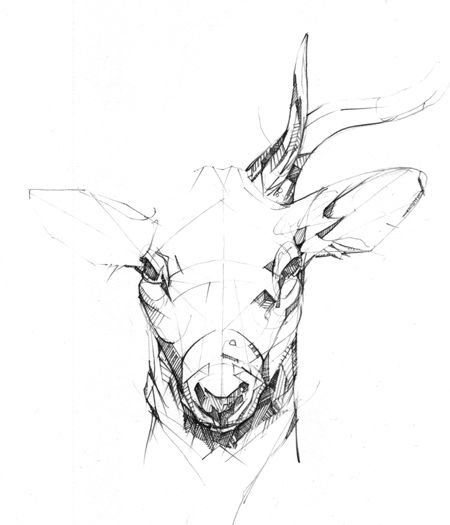 450x525 Deer Antlers Tumblr