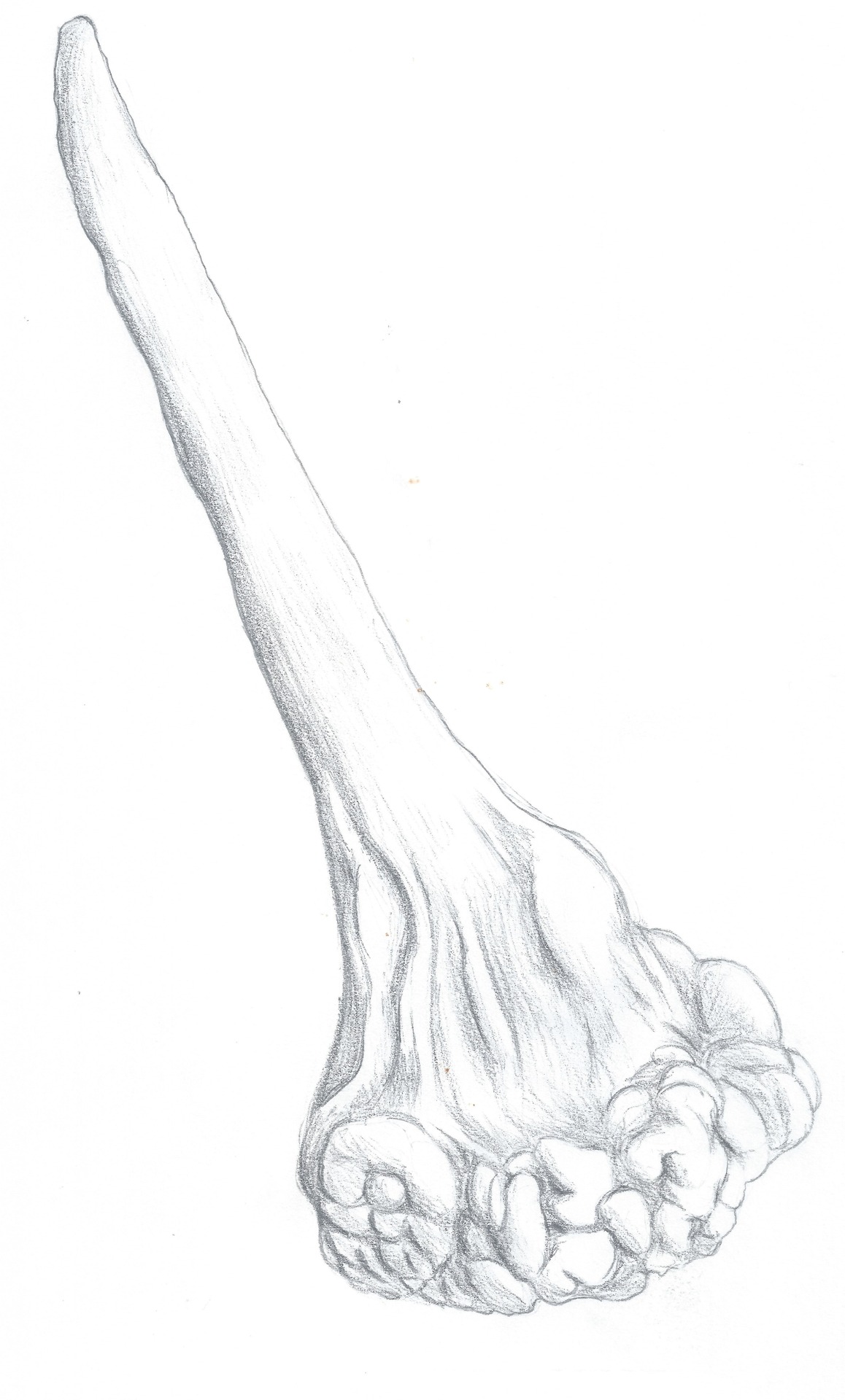 1158x1920 Chronie'Sworld