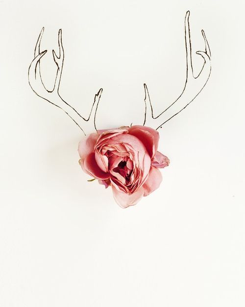 500x625 Antler Drawing Fun Antlers