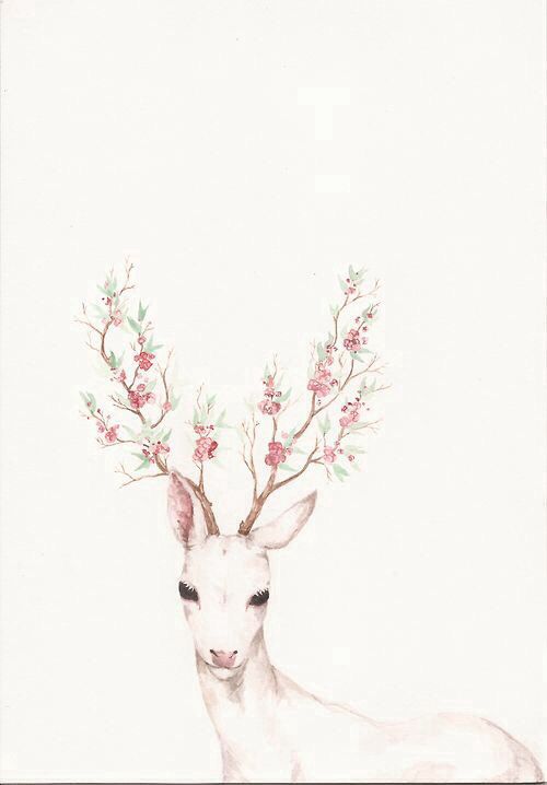 500x718 Floral Deer Antlers Found On Tumblr, Not My Artwork. Drawing