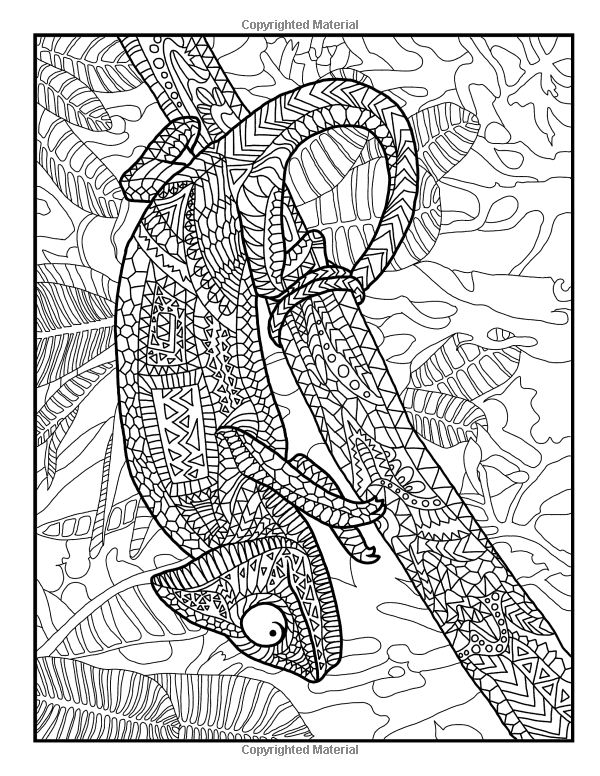 600x776 8 Best Nucleus Images On Ageing, Anatomy And Ap Biology