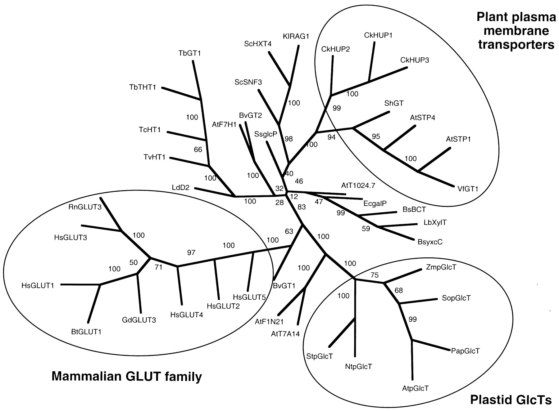 1800x1325 Identification, Purification, And Molecular Cloning Of A Putative