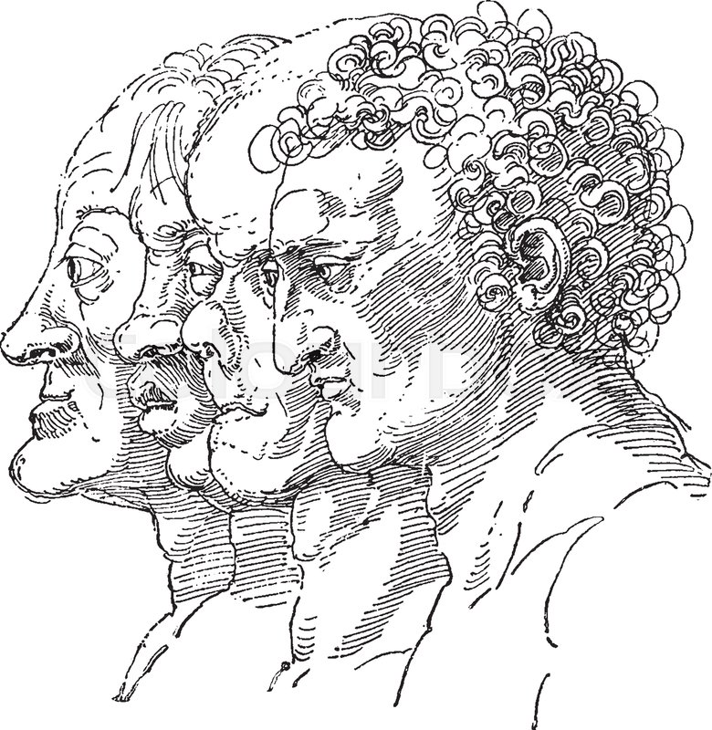 780x800 Study Of The Varieties Of Facial Types By German Artist Albrecht