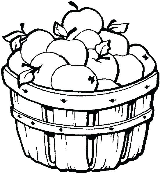 550x599 A Coloring Page Of A Apple Coloring Pages Apple Fruit Drawing