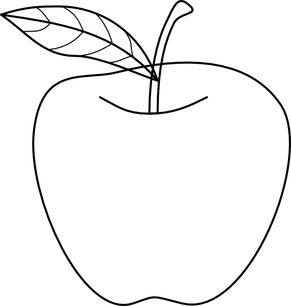 570x599 Collection Of Apple Fruit Drawing Picture High Quality, Free