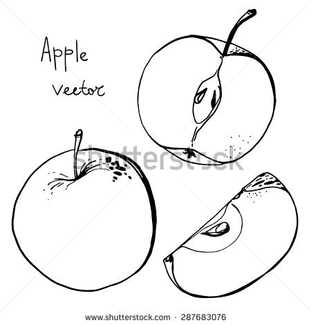 450x470 Apple Fruit Clipart Drawing Apple