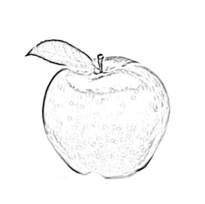 400x399 Apple Fruit Sketch