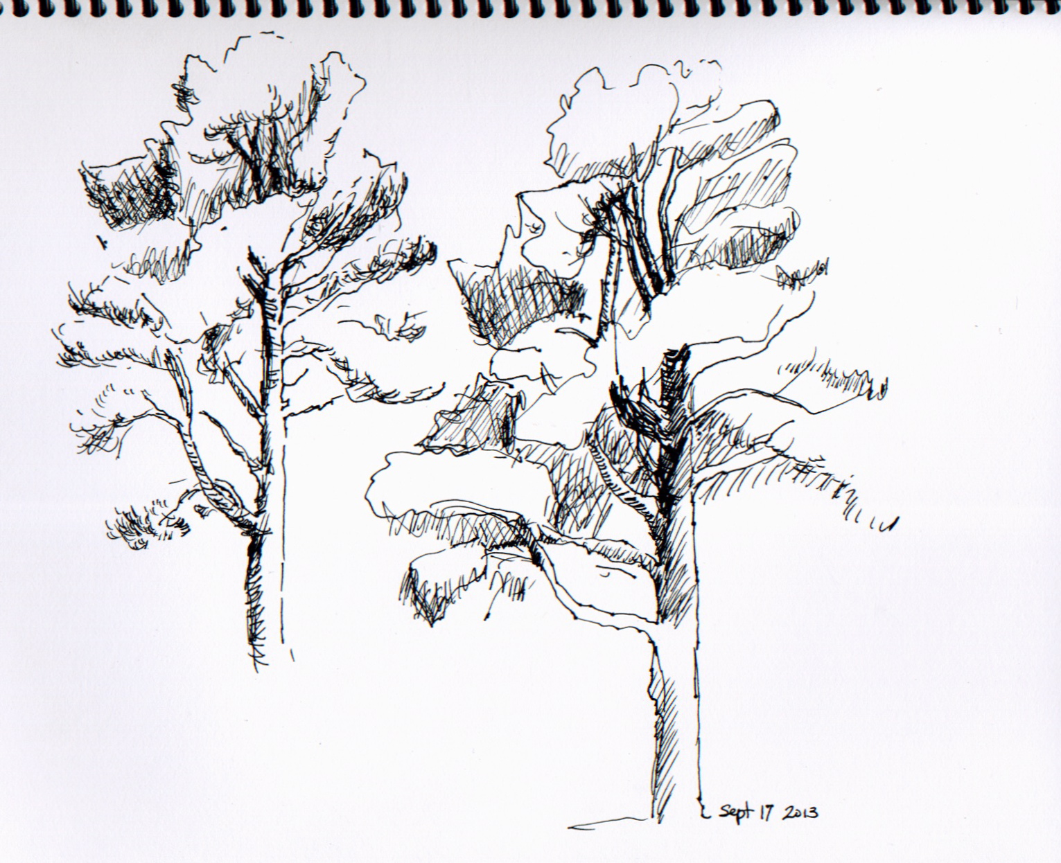 1531x1246 L. Williams Studio September 2013