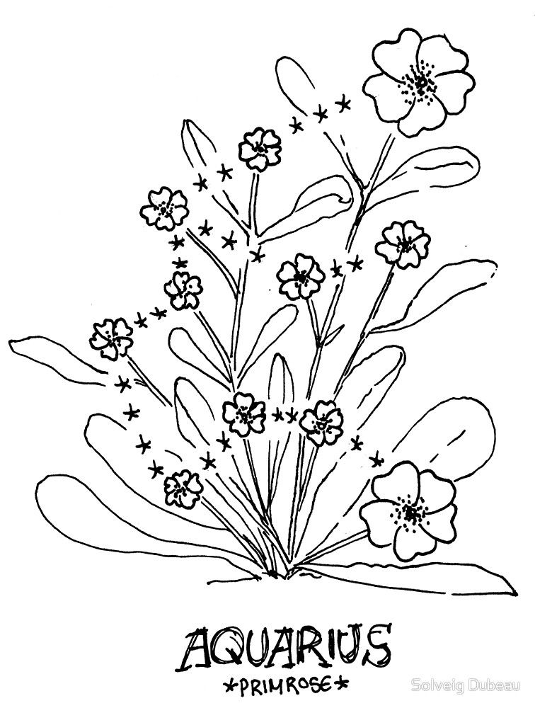 756x1000 Floral Constellation