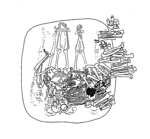 519x480 The Archaeology Of Dickson Mounds Illinois State Museum